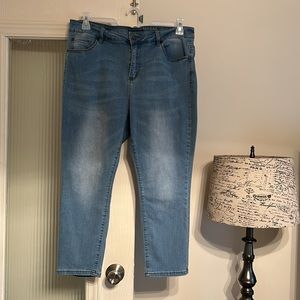 #148 Tahari Denim Jeans (16W)